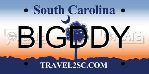 BIGDDY South Carolina License Plate