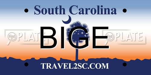 BIGE South Carolina License Plate