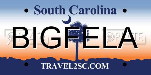 BIGFELA South Carolina License Plate