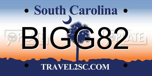 BIGG82 South Carolina License Plate