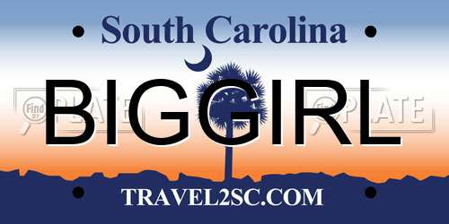 BIGGIRL South Carolina License Plate