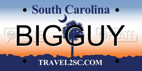 BIGGUY South Carolina License Plate