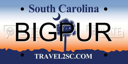 BIGPUR South Carolina License Plate