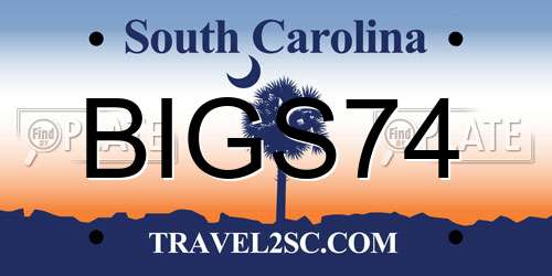 BIGS74 South Carolina License Plate