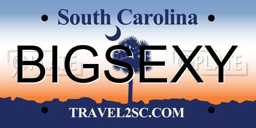 BIGSEXY South Carolina License Plate
