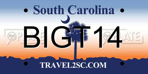 BIGT14 South Carolina License Plate