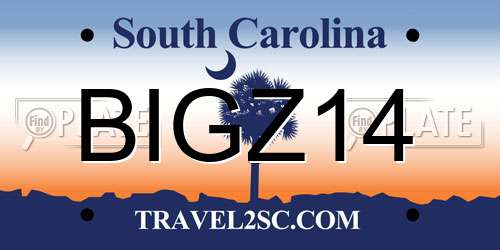 BIGZ14 South Carolina License Plate