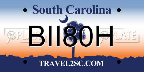 BII80H South Carolina License Plate