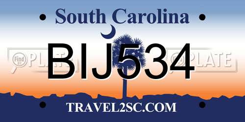 BIJ534 South Carolina License Plate