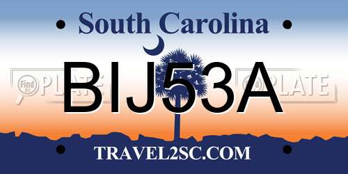 BIJ53A South Carolina License Plate