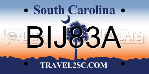 BIJ83A South Carolina License Plate