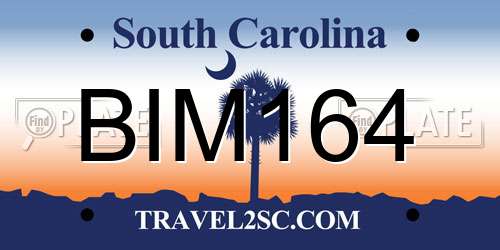 BIM164 South Carolina License Plate