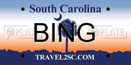 BING South Carolina License Plate