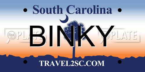 BINKY South Carolina License Plate