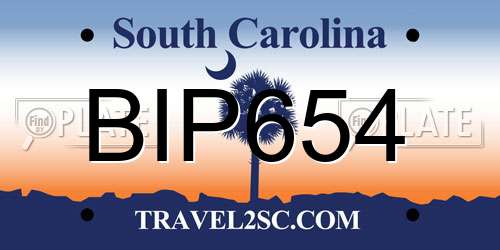 BIP654 South Carolina License Plate
