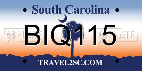 BIQ115 South Carolina License Plate
