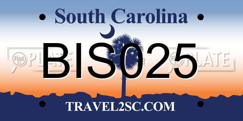 BIS025 South Carolina License Plate