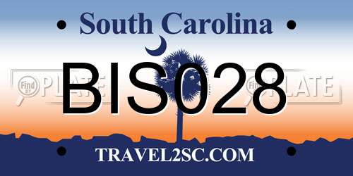 BIS028 South Carolina License Plate