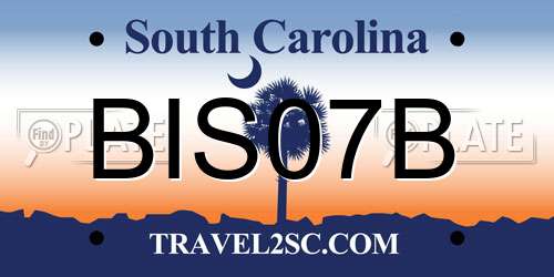 BIS07B South Carolina License Plate