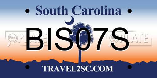 BIS07S South Carolina License Plate