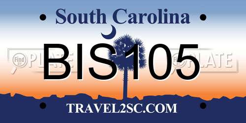 BIS105 South Carolina License Plate