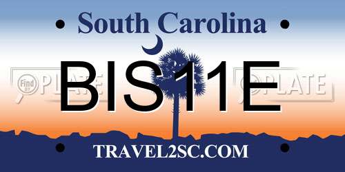 BIS11E South Carolina License Plate
