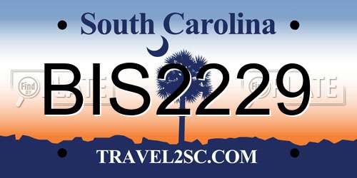 BIS2229 South Carolina License Plate