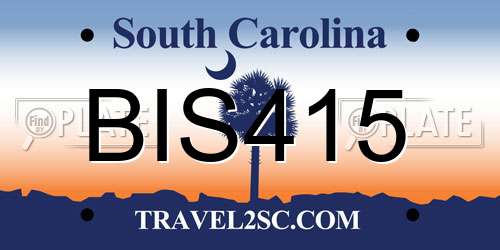 BIS415 South Carolina License Plate