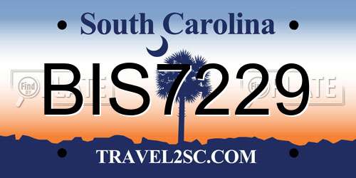 BIS7229 South Carolina License Plate