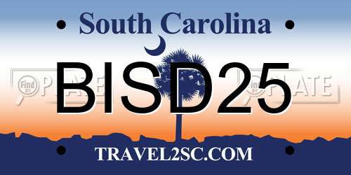 BISD25 South Carolina License Plate