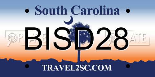 BISD28 South Carolina License Plate