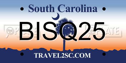 BISQ25 South Carolina License Plate