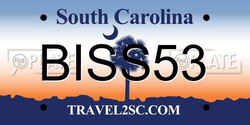 BISS53 South Carolina License Plate