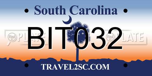 BIT032 South Carolina License Plate