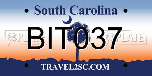 BIT037 South Carolina License Plate