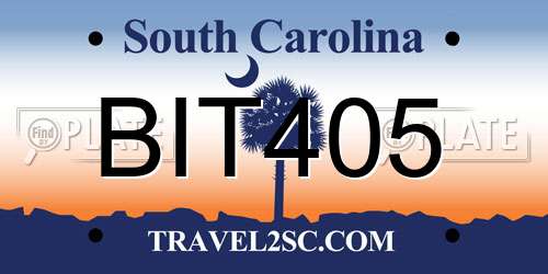 BIT405 South Carolina License Plate
