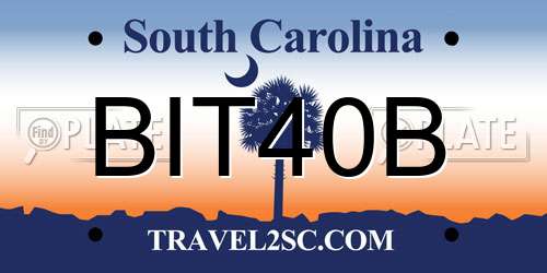 BIT40B South Carolina License Plate