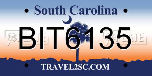 BIT6135 South Carolina License Plate