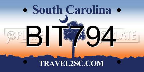 BIT794 South Carolina License Plate