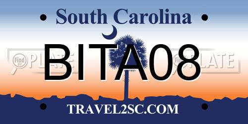 BITA08 South Carolina License Plate