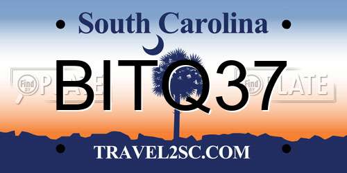 BITQ37 South Carolina License Plate