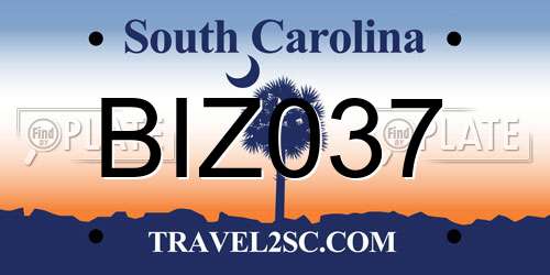 BIZ037 South Carolina License Plate