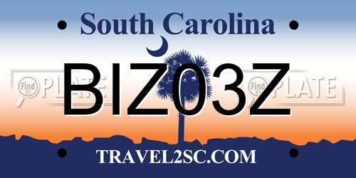 BIZ03Z South Carolina License Plate