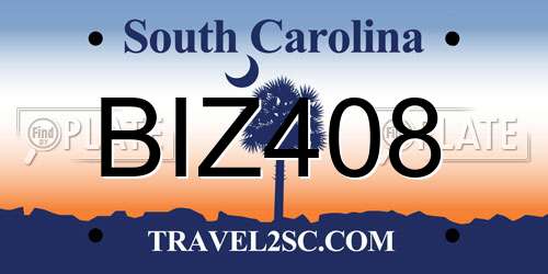 BIZ408 South Carolina License Plate