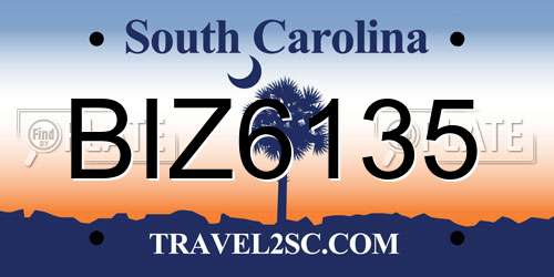 BIZ6135 South Carolina License Plate