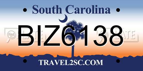 BIZ6138 South Carolina License Plate