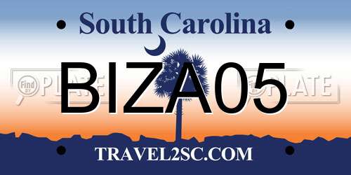 BIZA05 South Carolina License Plate