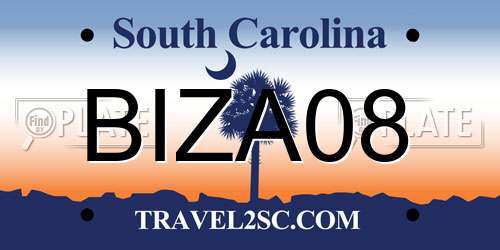 BIZA08 South Carolina License Plate