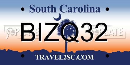 BIZQ32 South Carolina License Plate