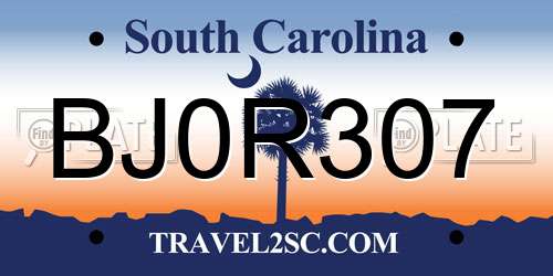BJ0R307 South Carolina License Plate